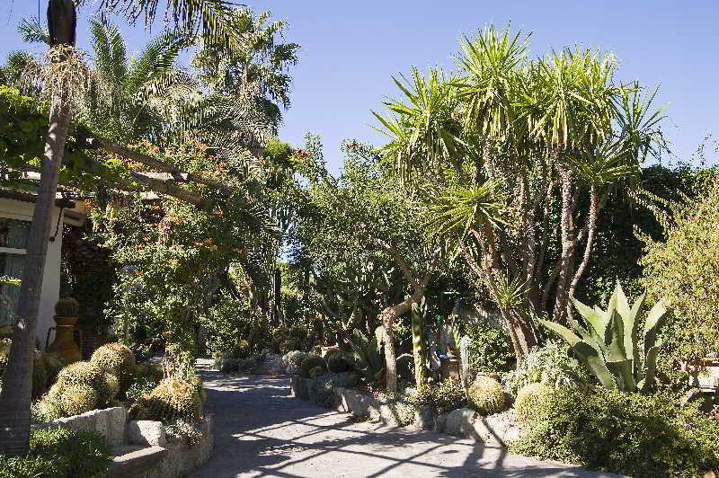 Park Hotel Terme Mediterraneo Forio di Ischia Kültér fotó